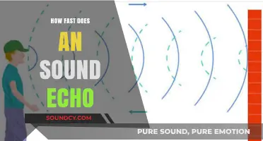 How Fast Does Sound Echo: Unraveling the Speed of Reverberation