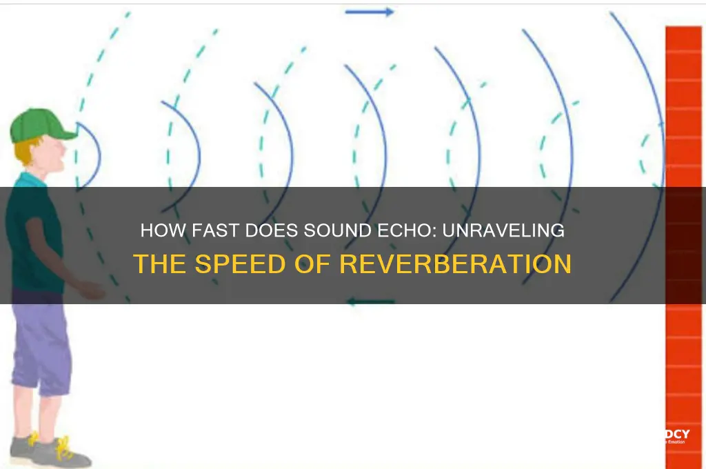 how fast does an sound echo