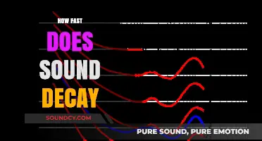 How Fast Does Sound Decay: Exploring the Science of Acoustic Disappearance