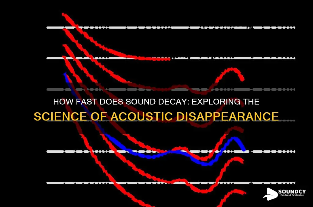 how fast does sound decay