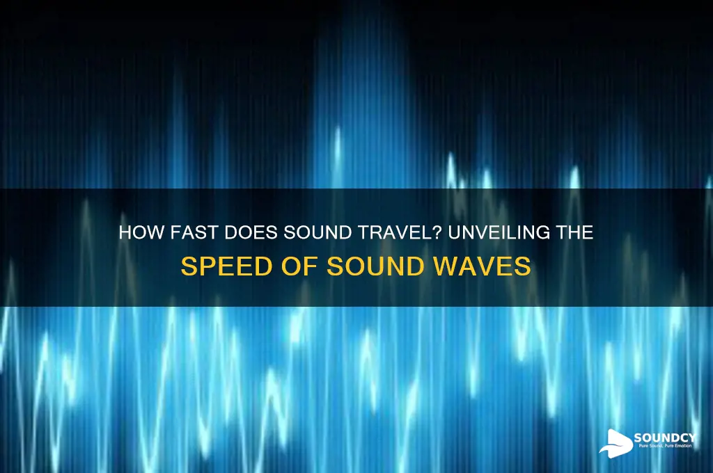 how fast does sound trave