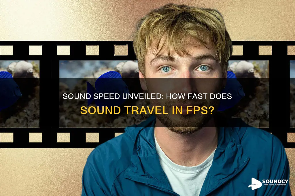 how fast does sound travel fps