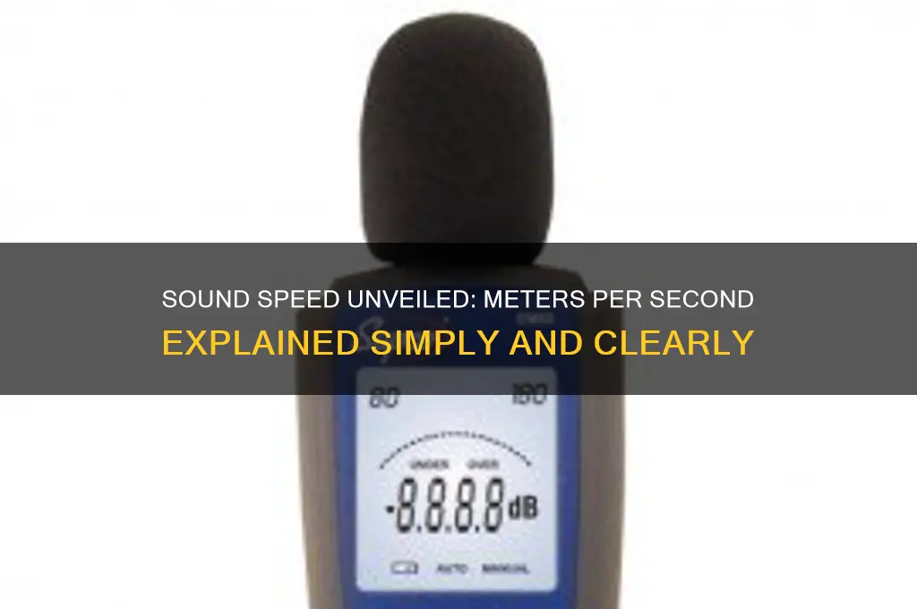 how fast does sound travel in meters per second