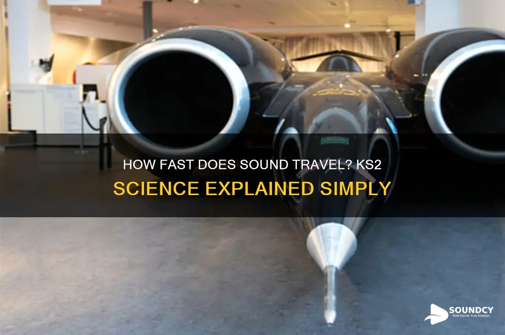 how fast does sound travel ks2