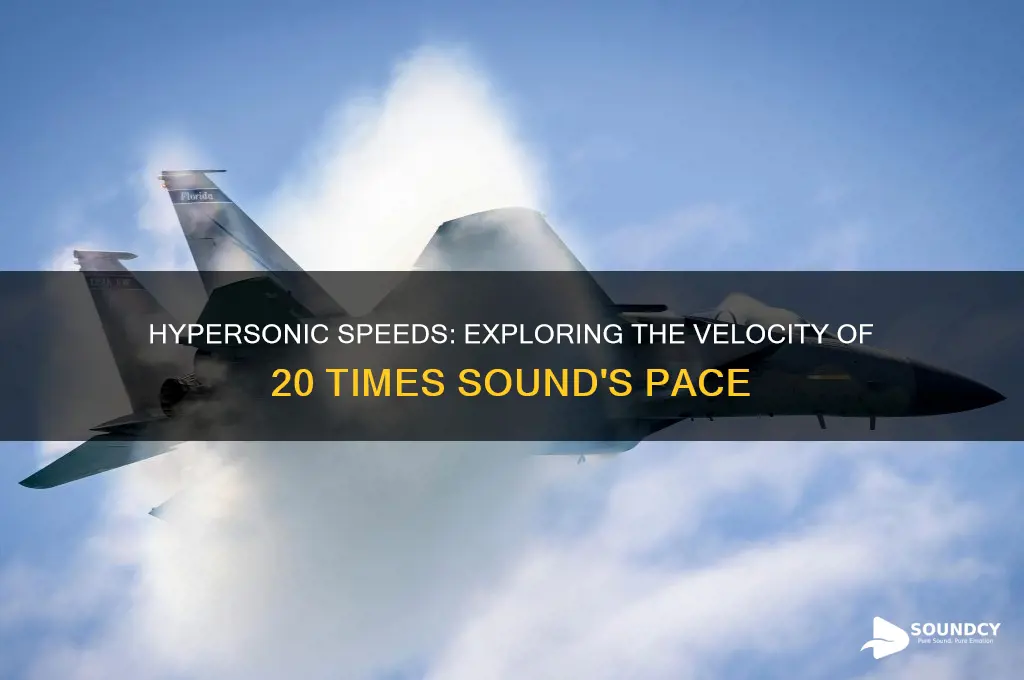 how fast is 20 times the speed of sound