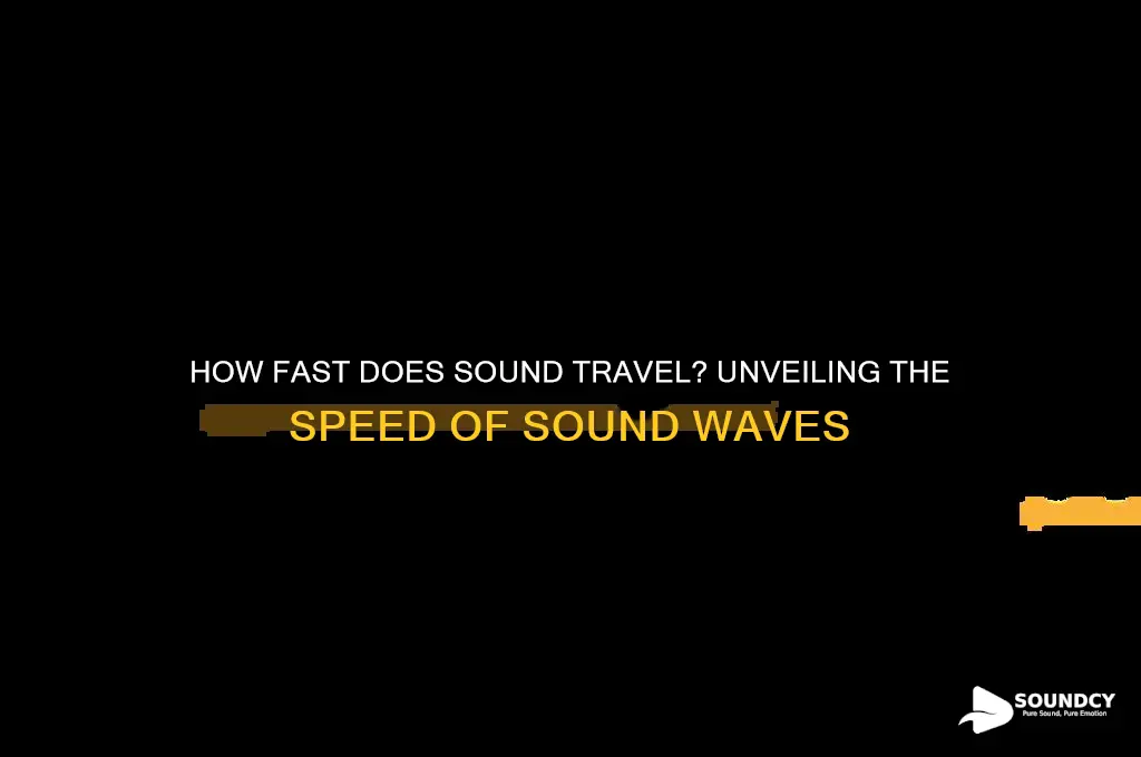 how fast is a sound wae