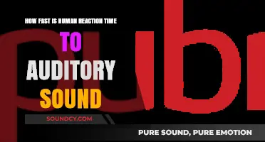 Exploring Human Auditory Reaction Speed: How Fast Do We Respond?
