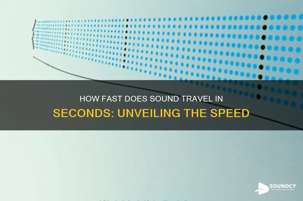 how fast is sound in sesonds