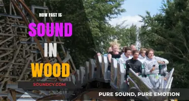 Exploring the Speed of Sound Waves Through Wood: A Detailed Analysis