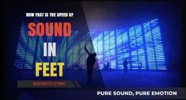 Exploring the Speed of Sound: How Fast is it in Feet?