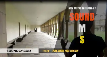 Exploring the Speed of Sound: Velocity in Meters per Second
