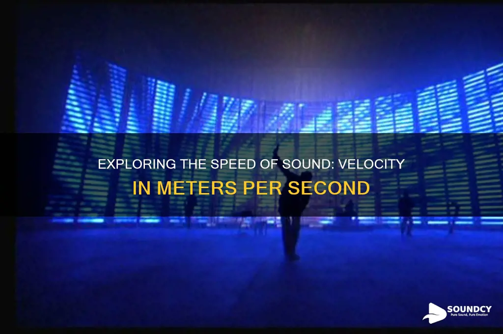 how fast is the speed of sound m s