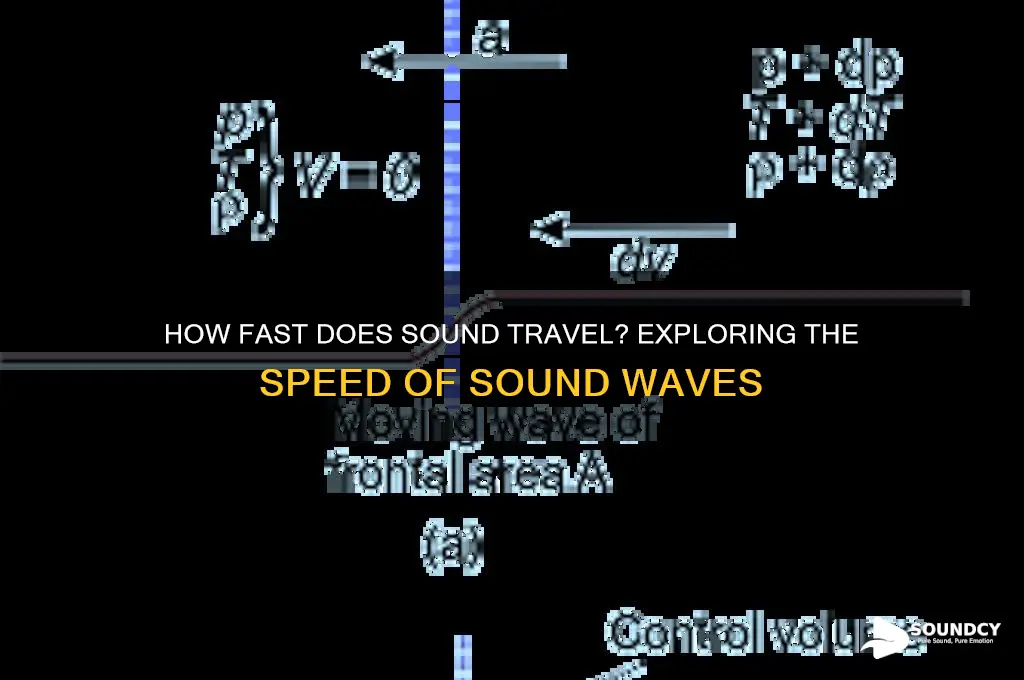 how fast the sound travle