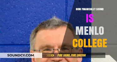 Assessing Menlo College's Financial Health: Stability, Growth, and Future Prospects