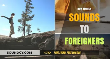 Finnish Language: A Unique Melody for Foreign Ears to Decode