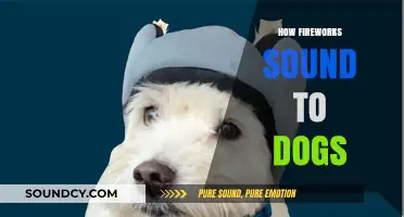 Understanding Fireworks: How Dogs Perceive the Loud, Explosive Noises
