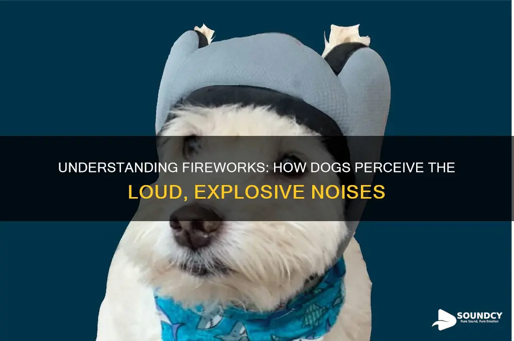how fireworks sound to dogs
