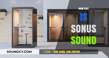 Exploring the Flatness of Sonus Sound: A Comprehensive Analysis