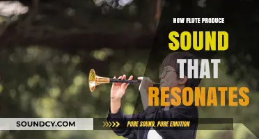 Unveiling the Science: How Flutes Create Resonating Musical Tones