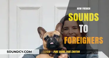 How French Sounds to Foreign Ears: A Linguistic Journey