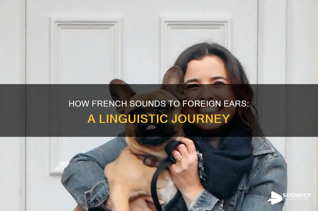 how french sounds to foreigners