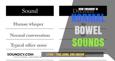 Understanding Normal Bowel Sounds: Frequency, Patterns, and What's Typical
