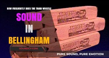 Bellingham Train Whistle Frequency: How Often Does It Sound?