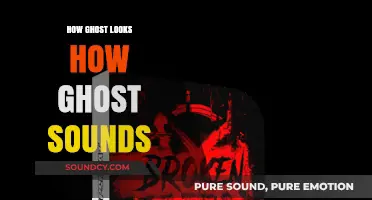 Unveiling Ghostly Appearances and Eerie Sounds: A Haunting Exploration
