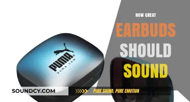 The Ultimate Guide to Perfect Earbud Sound Quality and Experience