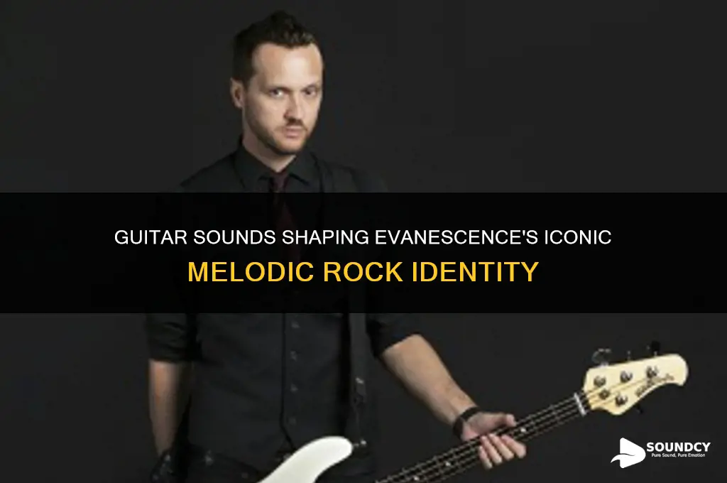 how guitar sounds made evanescence