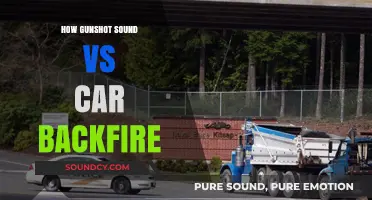 Gunshot vs. Car Backfire: Decoding the Distinct Sounds and Differences