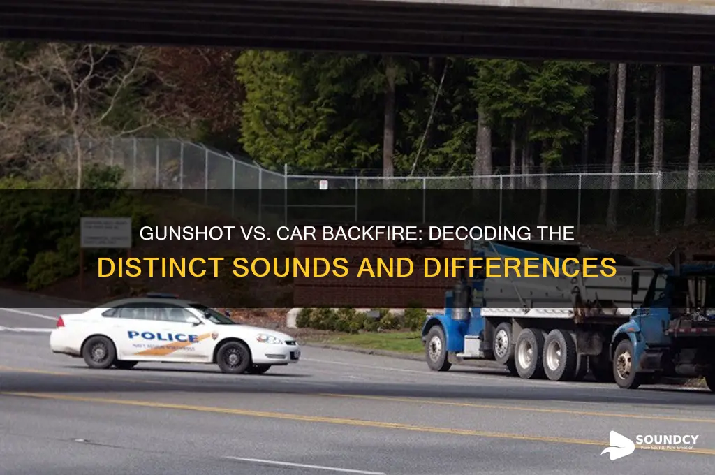 how gunshot sound vs car backfire
