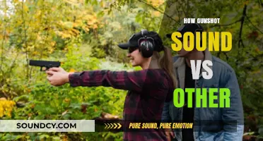 Gunshot Sound vs. Others: Decoding the Unique Acoustic Differences