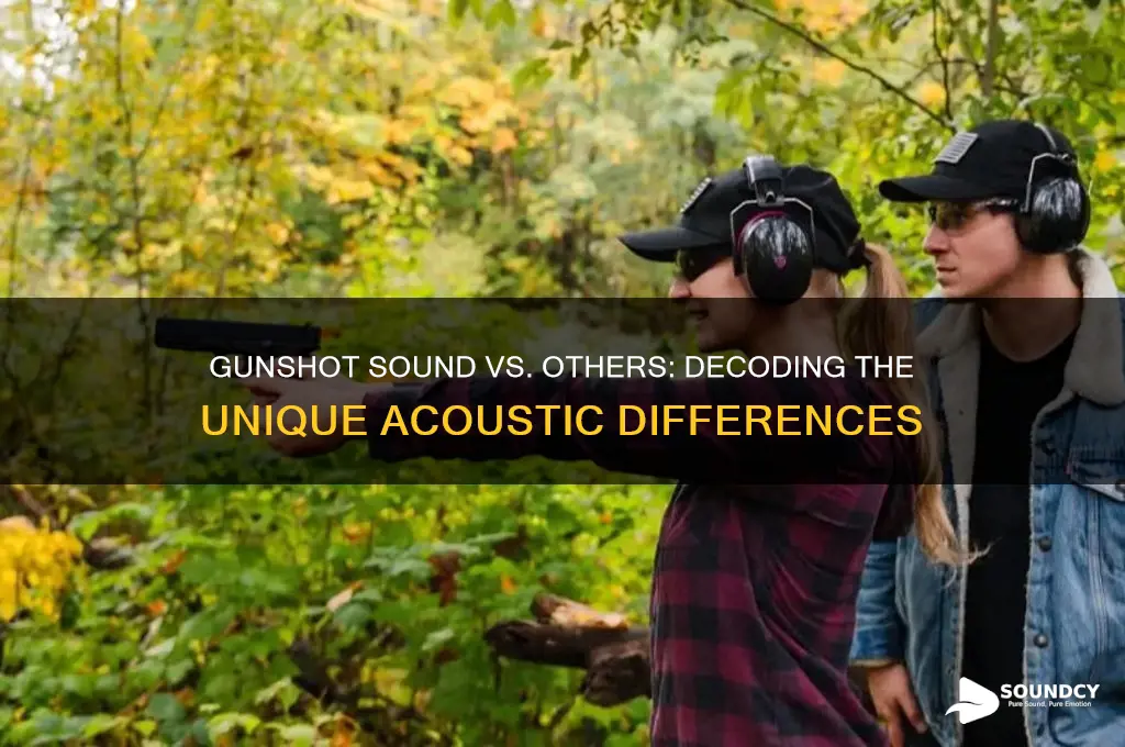 how gunshot sound vs other