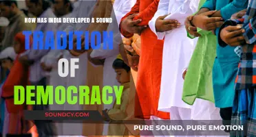 India's Democratic Journey: A Robust Tradition of Freedom and Governance