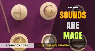 Understanding the Mechanics Behind How Heart Sounds Are Produced