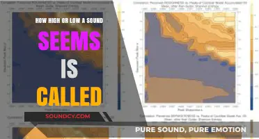 Understanding Pitch Perception: What Determines How High or Low a Sound Seems