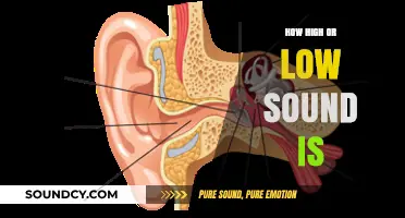 Understanding Sound Frequency: How High or Low Sounds Are Perceived