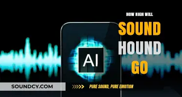 SoundHound's Skyward Trajectory: Predicting Its Peak Market Potential