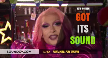 Unveiling the Unique Sound of Ho Hey: A Musical Journey