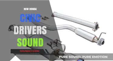 Decoding the Unique Sounds of Honda Civic Drivers on the Road