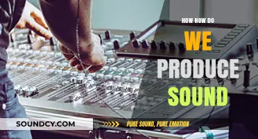 Understanding Sound Production: The Science Behind How We Create Noise