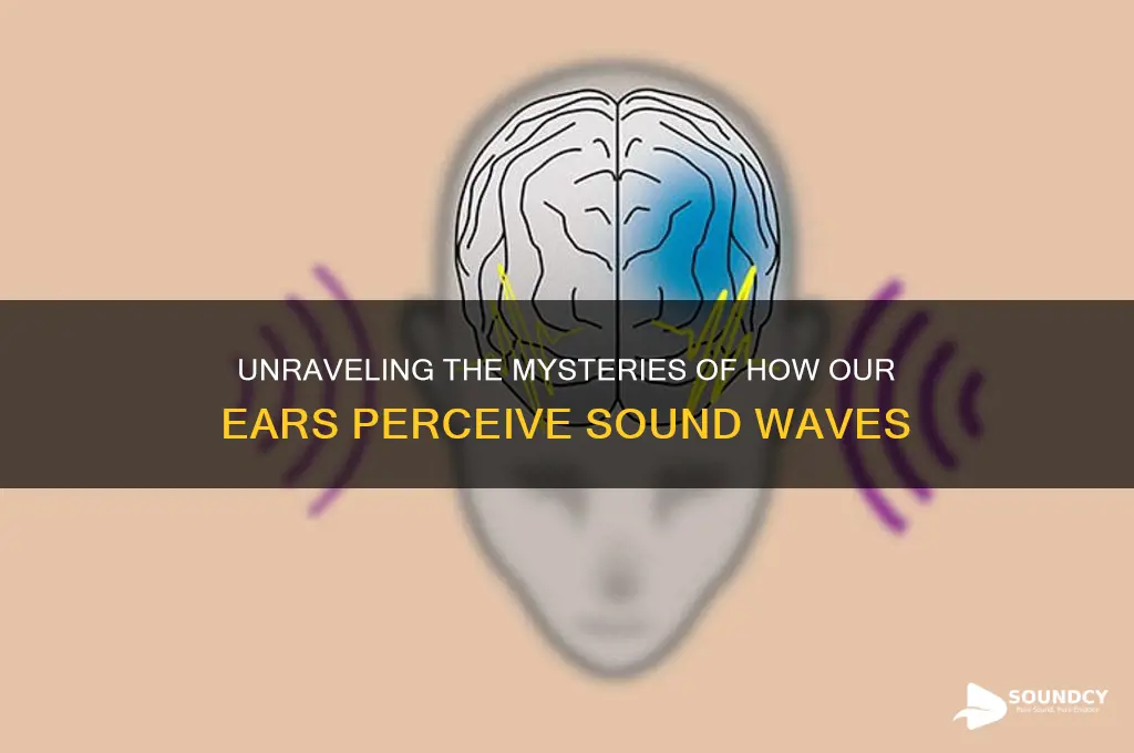 how human ear percieves sound