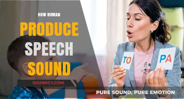 Unraveling the Complex Process of Human Speech Sound Production