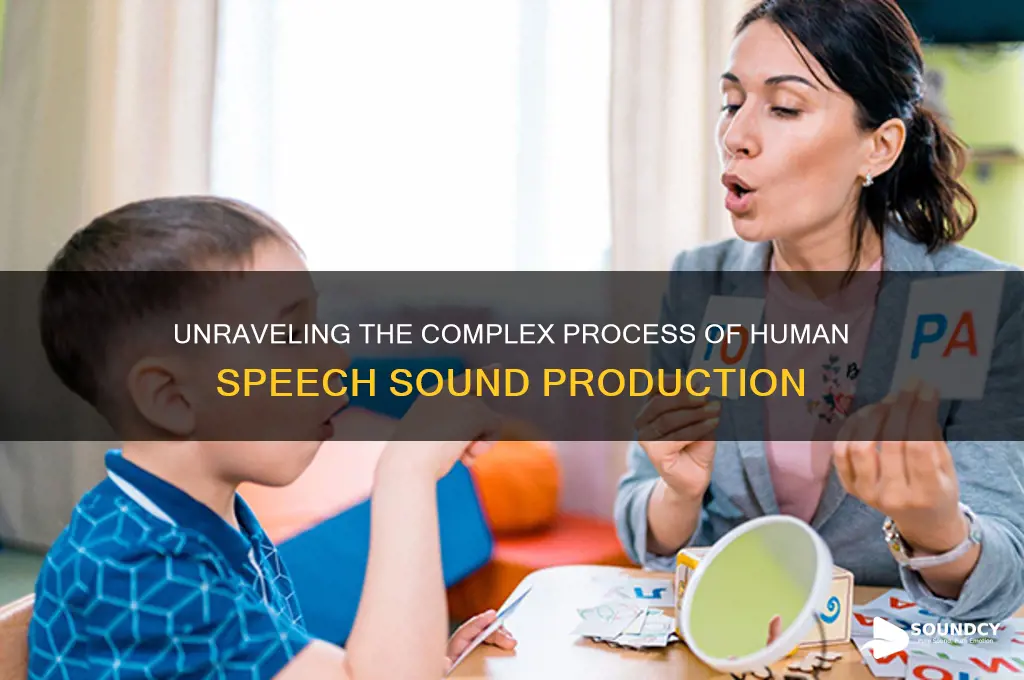 how human produce speech sound