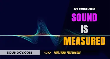 Measuring Human Speech Sounds: Techniques and Tools for Accurate Analysis