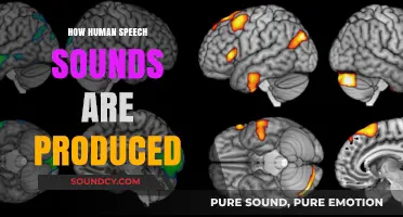 Unveiling the Art of Speech: How Human Sounds Are Produced