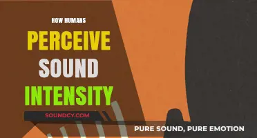 Understanding Sound Intensity: How Humans Perceive Volume and Loudness