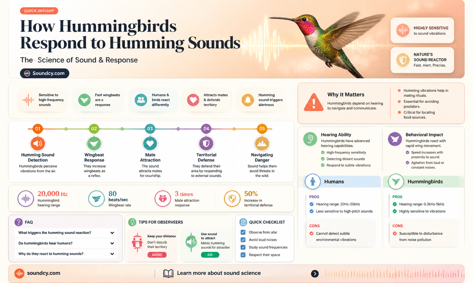 are hummingbirds attracted to humming sounds