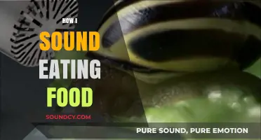 Crunch, Slurp, Chew: Exploring the Unique Sounds of My Eating Habits